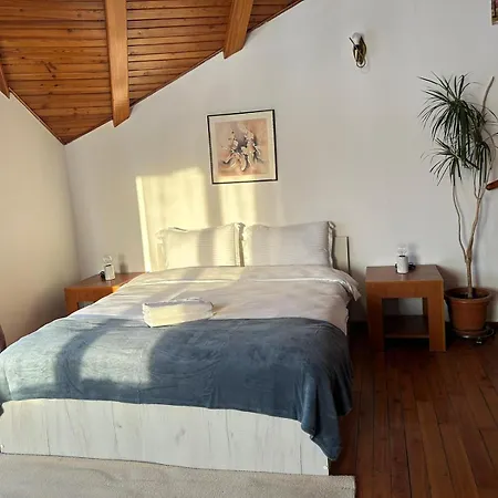 Pensionat Ambra Room's Braşov